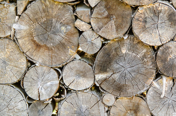 logs, closeup