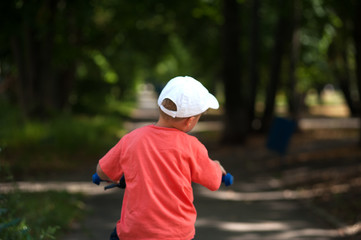 Little child on a bicycle at asphalt road in park.