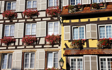 Fototapeta premium Strasbourg - Maisons à colombages