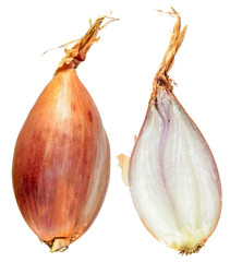 Unpeeled and cut in half Shallot onion bulb isolated on white background