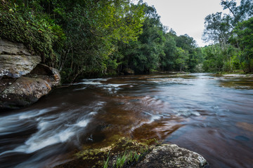 River in the tropical rainforest landscape