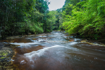 River in the tropical rainforest landscape