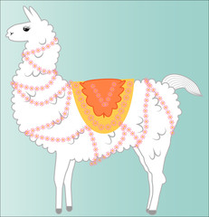 Lama, alpaca of white color, fluffy, with a bright saddle and flowers on a blue background