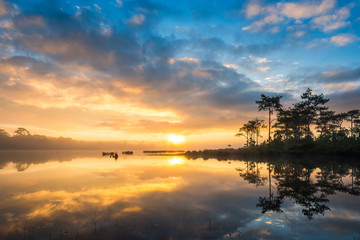 Obraz premium Fog rises over Marsh Lake at sunrise in Pine forest