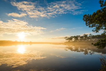 Obraz premium Fog rises over Marsh Lake at sunrise in Pine forest