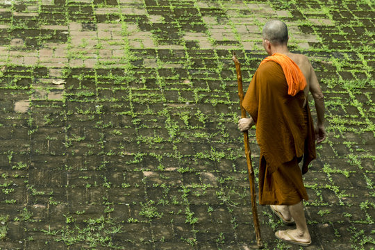 On the way to the temple