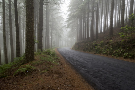 Silence in the mountain