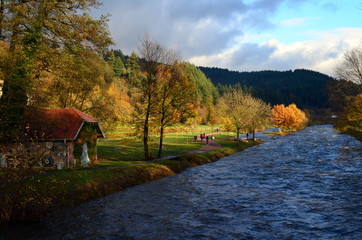 Herbst an der Dreisam