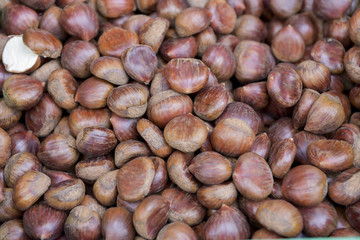 Chestnut
