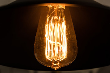Fototapeta na wymiar Close up of filament inside warm light bulb with lam