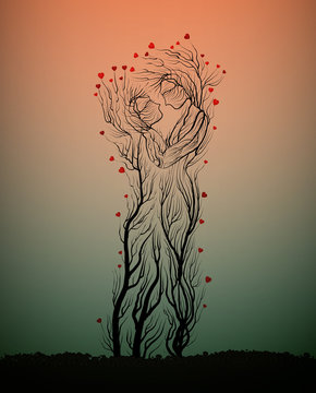 Two trees in love looks like man and hug each other, two lovers concept, love idea,
