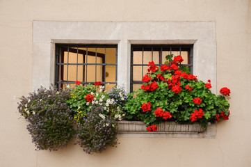 Beautiful old European wooden windows with iron grilles decorated with flowers