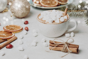 Fototapeta na wymiar Christmas still life with cocoa, marshmallows, cinnamon and fir branches. bright and festive
