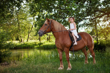 Llittle girl is riding a horse. Summer meadow.