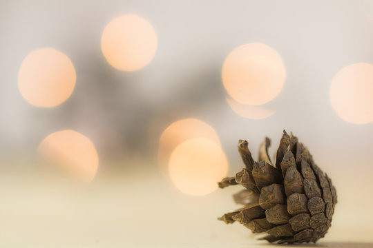 Tannenzapfen mit weichem Lichter Bokeh
