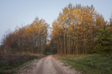 Obraz premium Jesienne kolory