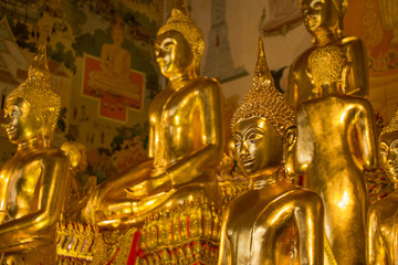 Young Golden Buddha