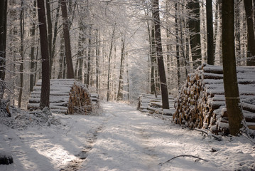Winter in Hessen