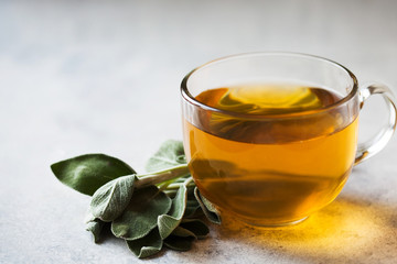Sage tea and sage leaves on grey background. Infusion from medicinal herb Salvia officinalis