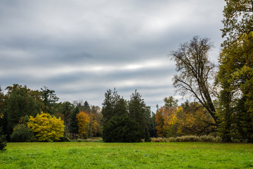 Park near castle at autumn in Krasiczyn, Podkarpackie, Poland