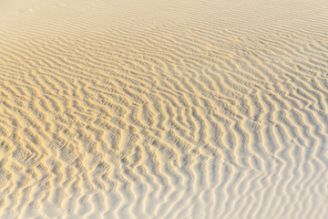 Wind Rippled Beach Sand in  Costao do Santinho beach