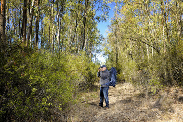 Obraz premium Hiker taking pictures in a forest.