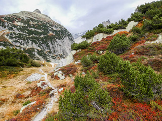 Aerial view of mountain in autumn