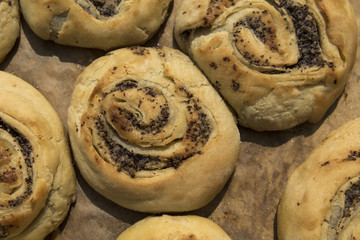 Mohnschnecken vom Blech