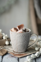 Hot chocolate with marshmallows