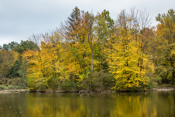 Fototapeta na wymiar Park near castle at autumn in Krasiczyn, Podkarpackie, Poland