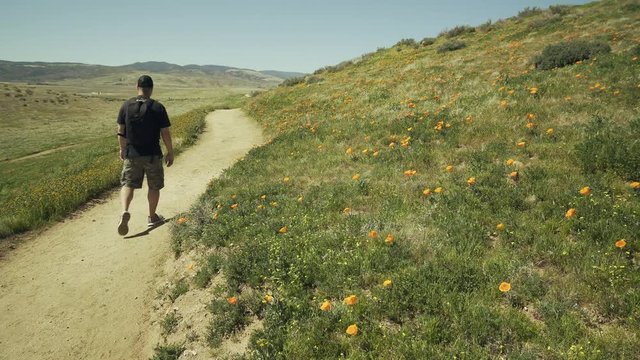 Hiker Selfie Path / A hiker walks on a path past the camera and takes a selfie then continues walking down the path.