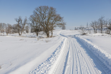 Fototapeta na wymiar Winter fairy tale, Iced Trees, winter morning