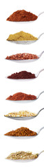 Collection of the spices and grains on spoon