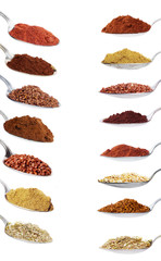 Collection of the spices and grains on spoon