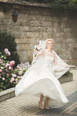 Obraz premium Beautiful luxury bride in elegant white dress