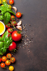 Tomatoes, basil, olive oil and spices © Evgeny Karandaev