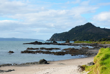 Fototapeta na wymiar Coromandel coast in New Zealand