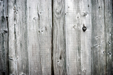 Rough old gray wood texture