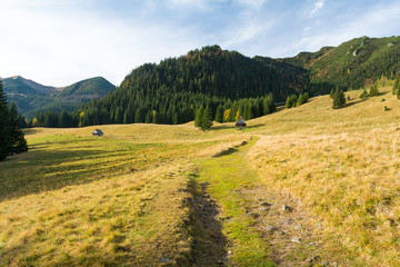 Fototapeta na wymiar beautiful meadow in polish Tatra mountains, Zakopane, Poland