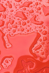Obraz premium Water drops on red background
