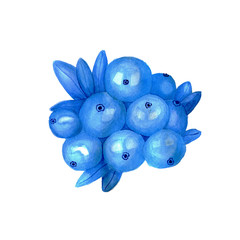 Watercolor berry