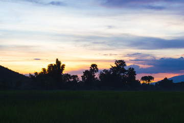 Background sunset Silhouette in Thailand .