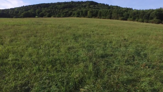 green grassland landscape drone flying low and slowly in aerial 4k forest in the backround 