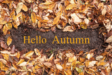 Hello autumn