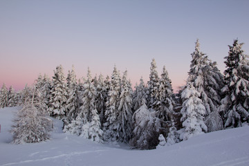 blaue stunde am berg im winter