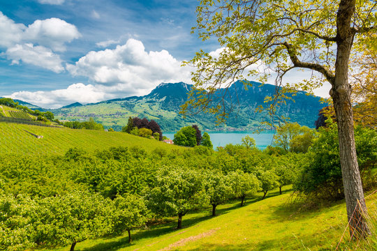 View of Thun lake in the Alps mountains, Switzerland
