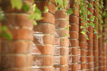 The pillars of the fence made of red brick with curly shaped green plants