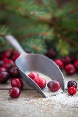 Christmas fresh cranberries in sugar new year russian tradition selective focus