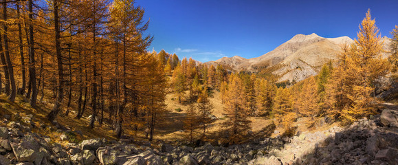 Alps Mountain Autumn