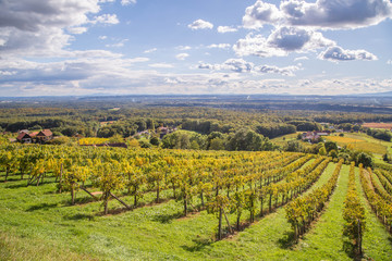 Naklejka premium steirische Weinberge im Herbst